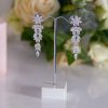 Crystal Beautiful earrings in silver